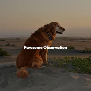 Pawsome Observation - Jazz Lounge Bar Relaxing