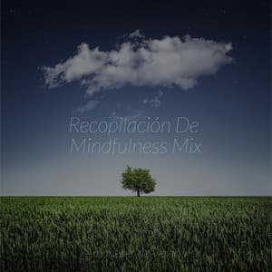 Recopilación De Mindfulness Mix - Sleep Sound Library