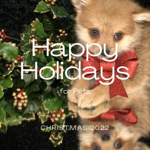1 Happy Holidays - Calm Doggy