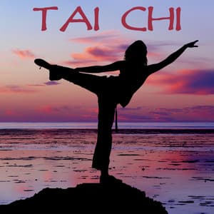 Tai Chi - Tai Chi Chuan