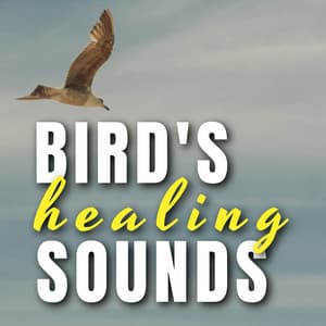 Bird's Healing Sounds - Bird Songs