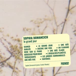 Le Grand Jour - Sophia Domancich