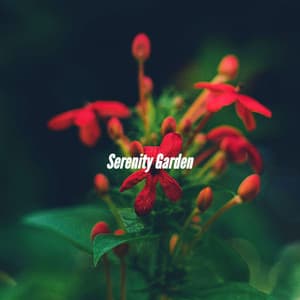 Serenity Garden - Cozy Coffee Shop Jazz