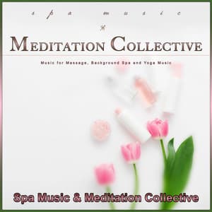 Spa Music & Meditation Collective: Music for Massage, Background Spa and Yoga Music - Spa Music & Meditation Collective