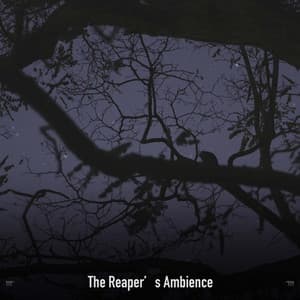 !!!!" The Reaper's Ambience "!!!! - Halloween Music