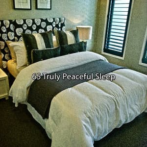65 Truly Peaceful Sleep - Total Relax Zone