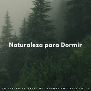 Naturaleza Para Dormir: Un Tesoro En Medio Del Bosque Vol. 1 - Sonidos de la tierra