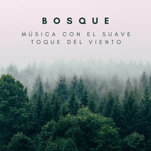 Bosque: Música Con El Suave Toque Del Viento - Ruido Branco
