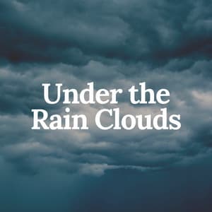 Under the Rain Clouds - Rain Sounds & White Noise
