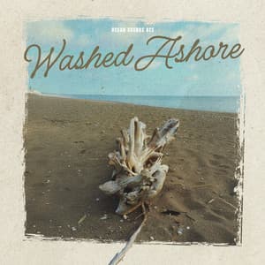 Washed Ashore - Ocean Sounds ACE