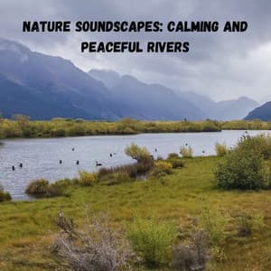 Nature Soundscapes: Calming and Peaceful Rivers - Outdoor Field Recorders