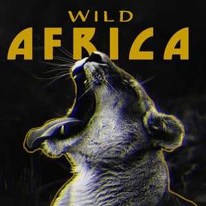 Wild Africa 🦁 - Tribal Drums Ambient