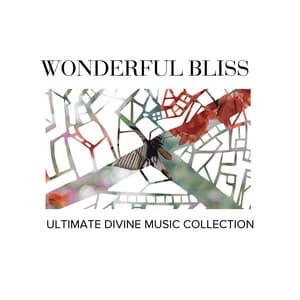 Wonderful Bliss - Ultimate Divine Music Collection - Gold Spa Melodies