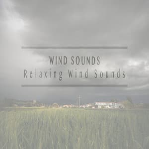 Relaxing Wind Sounds - Wind Sounds