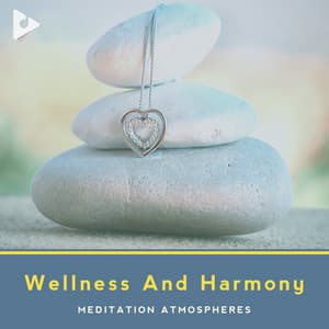Wellness And Harmony - Asian Zen Spa Music Meditation