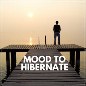 Mood to Hibernate - Solitude Beats