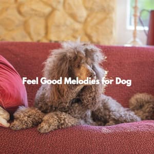 Feel Good Melodies for Dog - Fresh Jazz Cuts