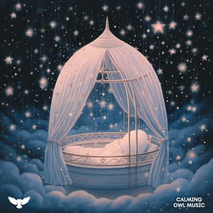 Cradle's Chords - Baby Owl Music