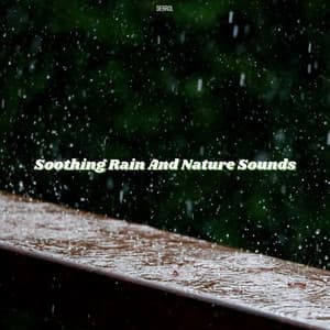 Soothing Rain and Nature Sounds - Derrol