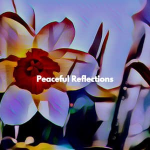 Peaceful Reflections - Musique du Matin
