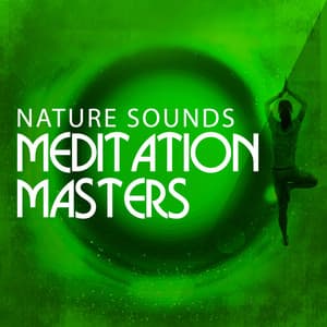 Nature Sounds Meditation Masters - Nature Sounds Meditation