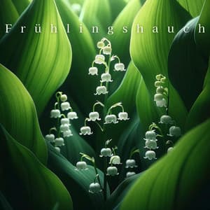 Frühlingshauch: Zarte Stille - Zen Buddhismus Regeneration Sammlung