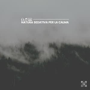 Natura Sedativa per La Calma - Zona pura di suoni naturali