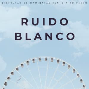 Ruido Blanco: Disfrutar De Caminatas Junto A Tu Perro - Ruido Blanco Tranquilo