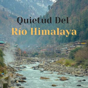 Quietud Del Río Himalaya - Ambiente de agua