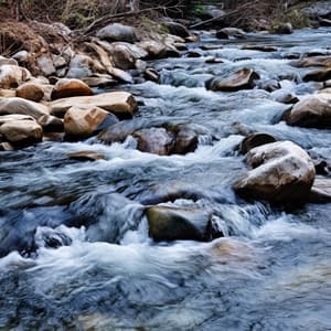 Rapsodia Ondulante: Paisajes Sonoros De Ribera - Los mejores sonidos de la naturaleza