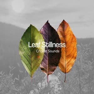 Leaf Stillness - Cricket Sounds