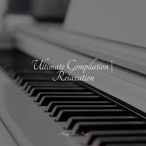 Calming Music to Relax to - Study Piano
