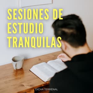 Sesiones De Estudio Tranquilas: Dicha Terrenal - Lista de reproducción de música suave