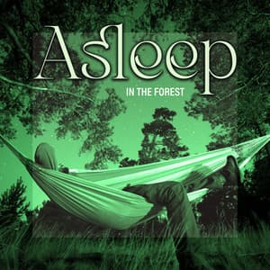 Asleep in the Forest - Healing Music Academy