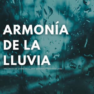 Armonía De La Lluvia: Melodías De Gotas De Lluvia Serenas Para Mascotas - Música de día lluvioso
