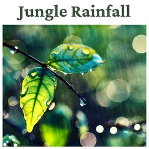 Jungle Rainfall - Relaxing Nature Sounds for Meditation, Sleep, Yoga - Relaxing Sounds of Rain Music Club