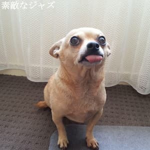 素敵なジャズ - Jazz Ambiental para Hoteles