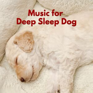 Music for Deep Sleep Dog - Hotel Lounge Deluxe