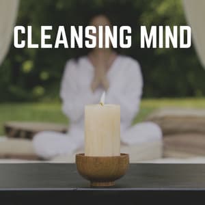 Cleansing Mind - Meditation Guru