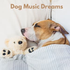 Dog Music Dreams - Hunde Entspannungsmusik