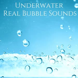 Quiet the Mind: Practicing Mindfulness - Sophia Mind