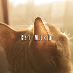 Cat Music: Harmonious Tunes for Dreamy Cats - Relaxing Music for Cats