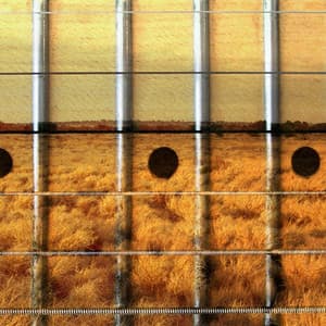 Guitar Country - Paul Lenart