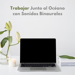Trabajar Junto Al Océano Con Sonidos Binaurales - Binauralidades