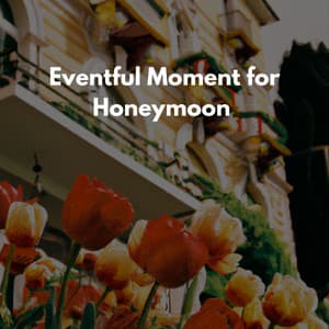 Eventful Moment for Honeymoon - Lounge Music for Restaurants