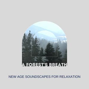 A Forest's Breath: New Age Soundscapes for Relaxation - Soul Serenade