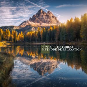 Sons of the Forest: Méthode de relaxation avant de dormir, Pleine conscience zen - Oasis de Musique Zen