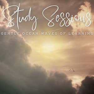Seaside Study Sessions: Binaural Soundscapes for Concentration - Tropical Blue Lagoon Sounds