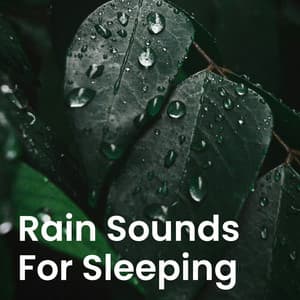 Rain Sounds for Sleeping - Relaxing With Sounds of Nature and Spa Music Natural