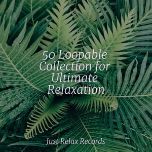 50 Loopable Collection for Ultimate Relaxation - ASMR HD